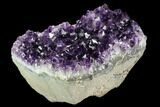 Dark Purple, Amethyst Crystal Cluster - Uruguay #123819-1